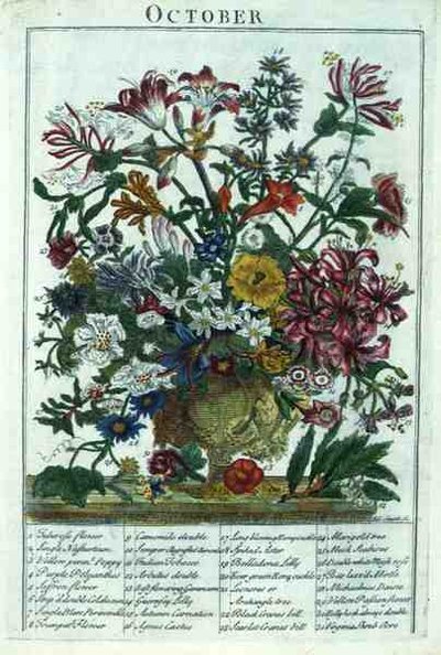 十月，出自罗伯特-弗伯（约1674-1756）的《展示的花圃》，由詹姆斯-史密斯雕刻，出版。1732年（彩色版画） 作者 彼得（后）城堡
