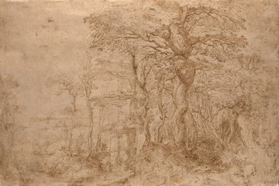 西尔万风景与五只熊 作者 彼得·布鲁格（Pieter Bruegel）