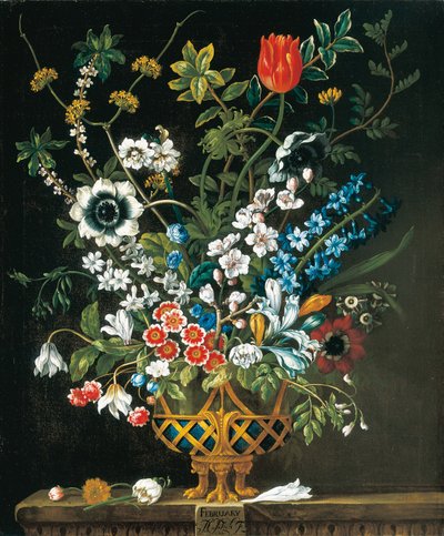 2月，来自《十二个月的花朵》，一幅静物花卉的日历 作者 彼得卡斯特尔