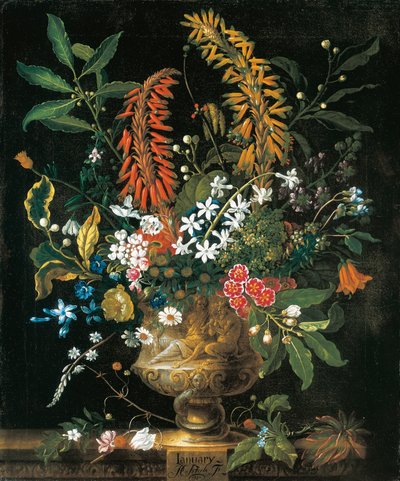 一月，来自《十二个月的花朵》，一幅静物花卉日历 作者 彼得卡斯特尔