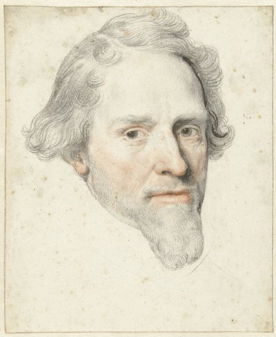 莫里斯王子的肖像 作者 Michiel Jansz van Mierevelt（拒绝归因）