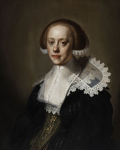 一位女士的画像 作者 Pieter Dubordieu