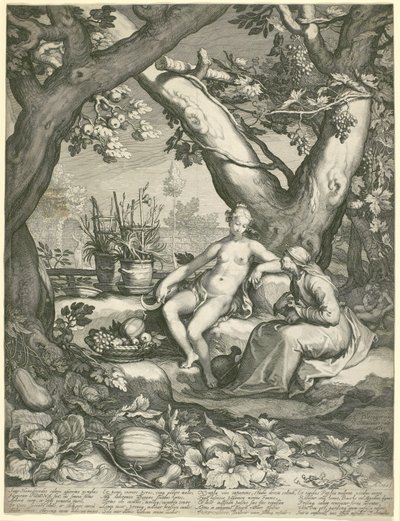 Vertumnus借用一位老妇人的形象来赢得Pomonas Love，1605（在纸上雕刻） 作者 彼得·詹森（Pieter Janszoon Saenredam）