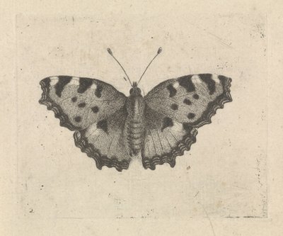 蝴蝶 作者 彼得·莱昂内特