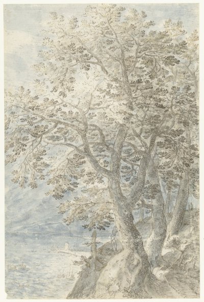 陡峭岩壁上的树木 作者 彼得史蒂文斯 (II)