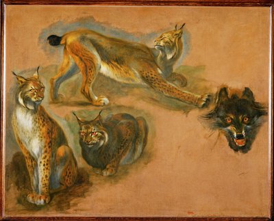 猞猁，狼头（布面油画） 作者 彼得或彼得·博尔