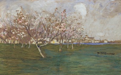 春天 作者 Pietro Fragiacomo