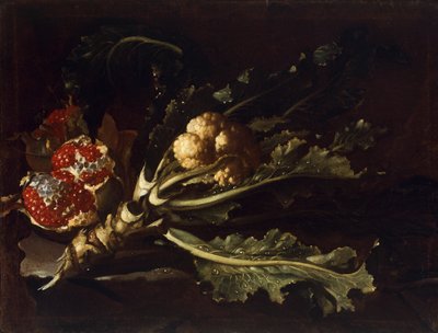 花椰菜和石榴 作者 彼得罗·保罗·邦兹（Pietro Paolo Bonzi）