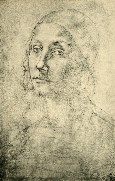 1943年15月下旬至16世纪初，女人的画像。 作者 彼得罗·佩鲁吉诺（Pietro Perugino）