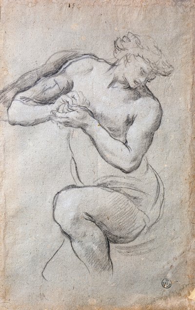 男性形象，《白银时代的巴克斯》壁画研究 作者 Pietro da Cortona