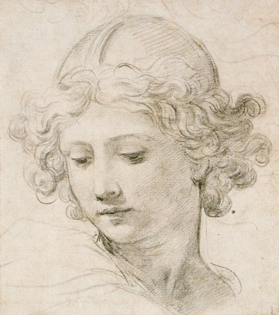 天使的头，向左向下看 作者 Pietro da Cortona