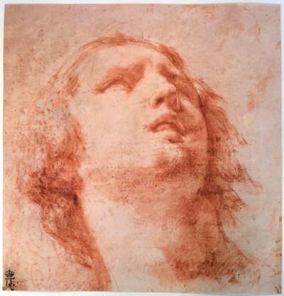 仰望一个女人的头部研究，十七世纪 作者 Pietro da Cortona