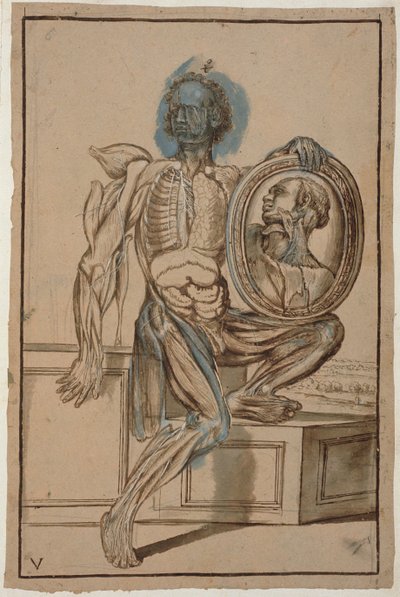 Hunter 653板块V解剖图，c.1610（铅笔和粉笔在纸上） 作者 Pietro da Cortona