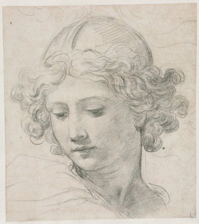 圣米迦勒头像研究 作者 Pietro da Cortona