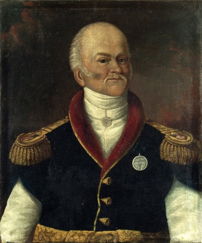 Ksawery Franciszek Krasicki 将军肖像（1774-1844 年）。无名画作，布面油画 作者 波兰学校