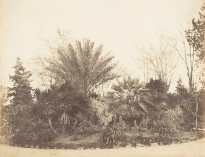 平西亚花园，罗马，1853-56。 作者 可能由 Jane Martha St. John 撰写。