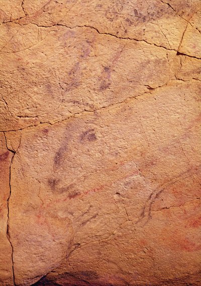公元前15000-8000（洞穴绘画），来自阿尔塔米拉洞穴的小雄鹿头 作者 史前