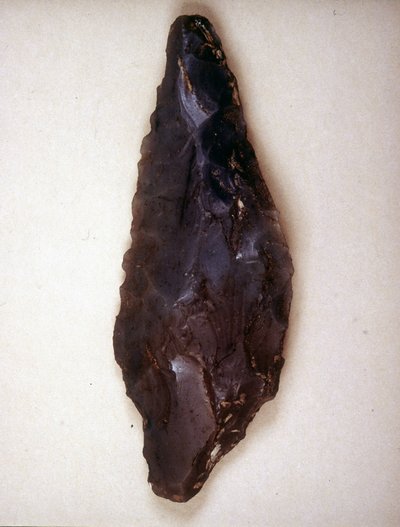 Arrows point in flint. Varèse. Museo archeologico de Milan 作者 史前史前