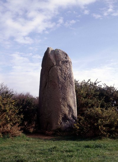 位于Rhuys半岛的Menhir（56）。 作者 史前史前