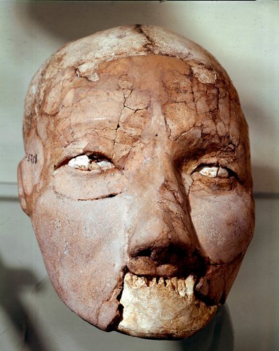 新石器时代艺术：可追溯到石器时代（公元前 6000-4000 年）的人类头骨。 来自约旦安曼考古博物馆杰里科 作者 史前史前