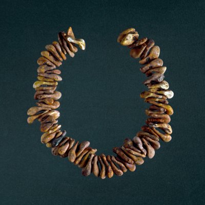 史前史，石器时代：威尼托 Polesine 洞穴中的骨头项链。 罗马，路易吉·皮戈里尼国家史前民族博物馆 作者 Prehistoric Prehistoric