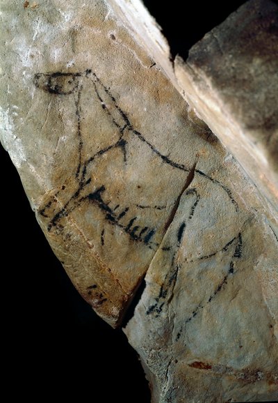 史前史：“一匹马”风格IV 岩画，旧石器时代晚期（马格达林）（18000 年至14000 年前）西班牙桑坦德拉斯莫内达斯石器时代洞穴-史前史：马。 岩画，风格 IV，上旧石器时代（抹大拉）（介于 作者 史前史前