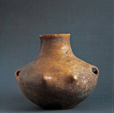 史前，里纳尔多内（Montefiascone）的文化：里纳尔多内墓地的陶罐。铜器时代。新石器时代。公元前2200年。罗马，国家史前和民族学博物馆Luigi Pigorini。 作者 史前史前