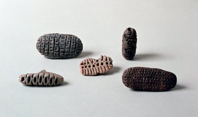 史前史：从 Caverna Delle Arene 到 Candide（利古里亚）的新石器时代兵马俑的不同 pintaderas（海豹）。 Pegli，帕拉维奇尼别墅博物馆 作者 史前史前