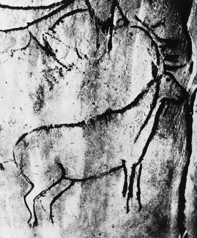 史前史：在阿列日的 Niaux 洞穴中描绘一只鹿 - 摄影。 作者 史前史前