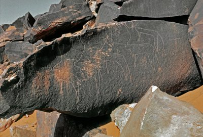 史前，岩画：表现牛的墓岩。塔兹纳风格。石器时代，公元前5000-2000年。阿尔及利亚Haut plateau du Hoggar (Ahaggar), Taghit. 作者 史前史前