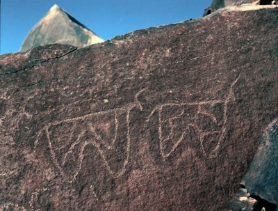 史前，岩画：表现牛的墓岩。塔兹纳风格。石器时代，公元前5000-2000年。阿尔及利亚Haut plateau du Hoggar (Ahaggar), Taghit. 作者 史前史前