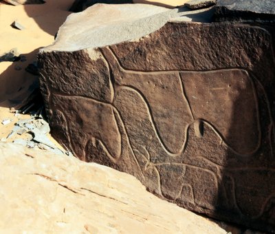 史前，岩画：表现牛的墓岩。塔兹纳风格。石器时代，公元前5000-2000年。阿尔及利亚Haut plateau du Hoggar (Ahaggar), Taghit. 作者 史前史前