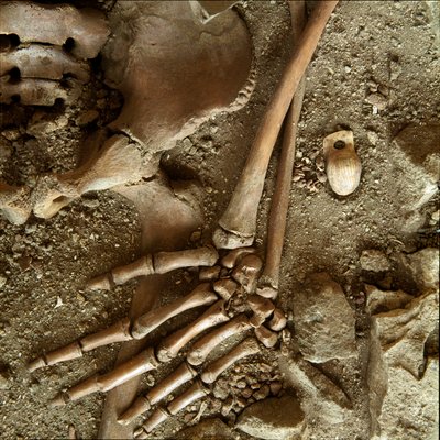 Prehistory: teenage sepulture. Detail view of the funeral trousseau from the cave of Candid Arene (Finale Ligure), Liguria. Upper Paleolithic, 24000 BC. Genes, museo di archeologia ligure 作者 史前史前