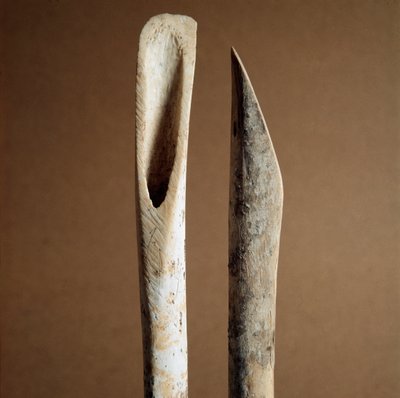 Prehistory: tools to remove bark from shin bones of goat and sheep from the Necropole of Arene Candide (Finale Liguria), Liguria. Middle Neolithic, Stone Age. Genes, museo di archeologia ligure 作者 史前史前
