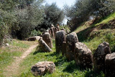 cromlech M Zora 考古遗址，位于 Sidi El Yamani（摩洛哥）。 新石器时代的墓地（公元前 2000 年），周围环绕着 167 块巨石。 作者 史前史前