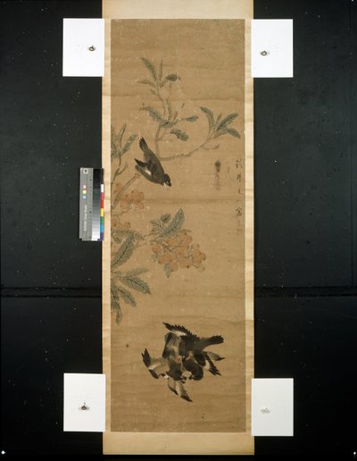 鸟类和树枝 作者 清代中文学校