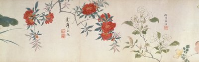 花，手卷（纸上水墨和彩色）。 作者 清代中文学校