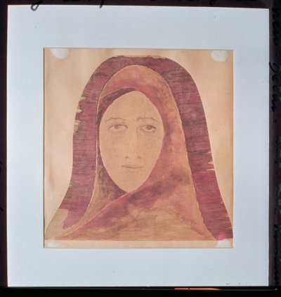 一个女人的头 作者 泰格（Rabindranath Tagore）