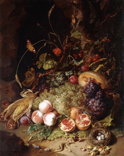 水果和昆虫的静物， 作者 Rachel Ruysch