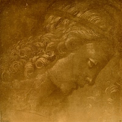 研究天使头 作者 拉斐尔·德尔·嘉宝