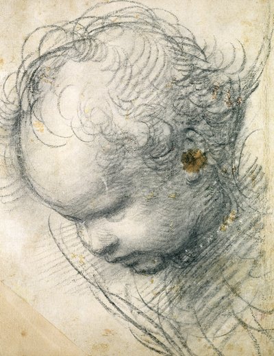 小天使的头（黑色粉笔和纸上的木炭） 作者 拉斐尔（Raffaello Sanzio Raphael）