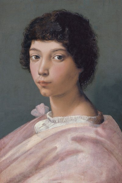 一个年轻人的肖像 作者 拉斐尔（Raffaello Sanzio Raphael）