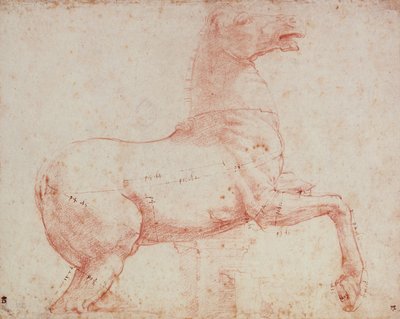 研究Quirinal的大理石马（红色粉笔在纸上） 作者 拉斐尔（Raffaello Sanzio Raphael）