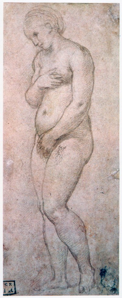 金星的研究，c1500-1520 作者 拉斐尔（Raffaello Sanzio Raphael）