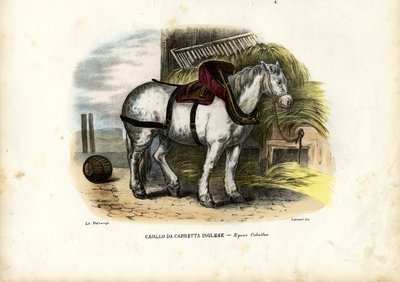 英国农场马，1863-79 作者 雷蒙多·彼得罗亚