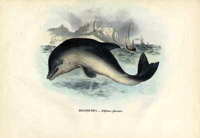 港湾海豚，1863-79 作者 雷蒙多·彼得罗亚