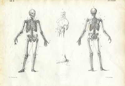 人类，1863-79 作者 雷蒙多·彼得罗亚