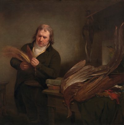 鸟类学家，可能是约翰·莱瑟姆 作者 拉姆齐·理查德·雷纳格（Ramsay Richard Reinagle）