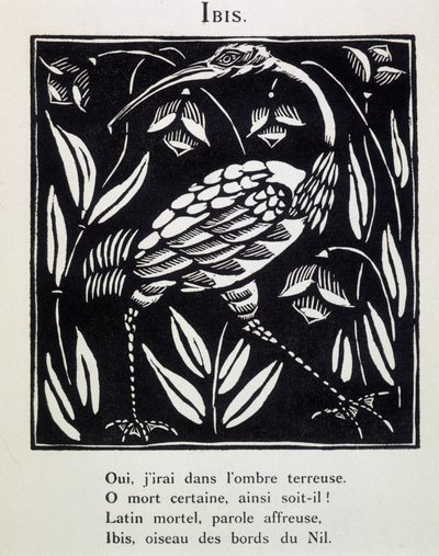 朱鹮--纪尧姆-阿波利奈尔（Raoul Dufy，1877 - 1953 年）的《Le Bestiaire ou cortege d