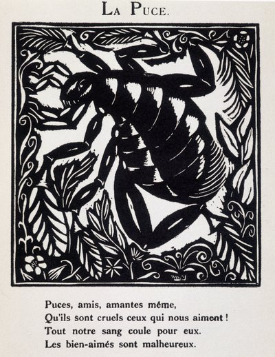 La puce - 在纪尧姆-阿波利奈尔（1877 - 1953 年）的《Le Bestiaire ou cortege d